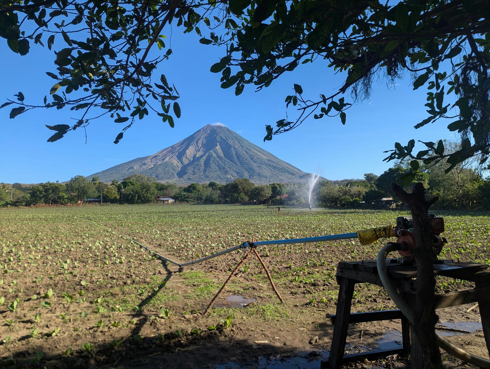 Pump and mainline feeding an impact sprinkler over an open field