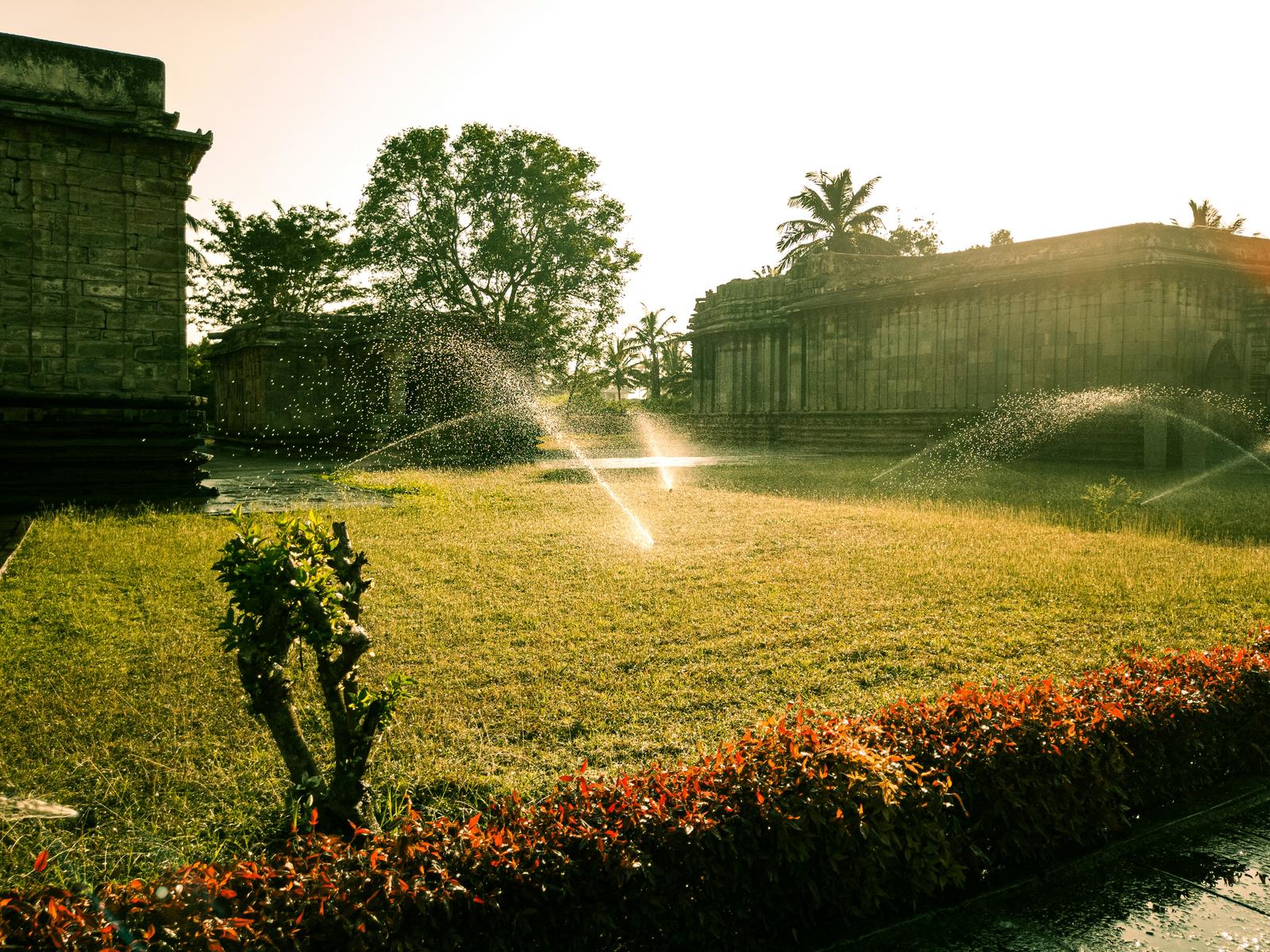 Pop-up sprinkler heads watering a lawn at sunset