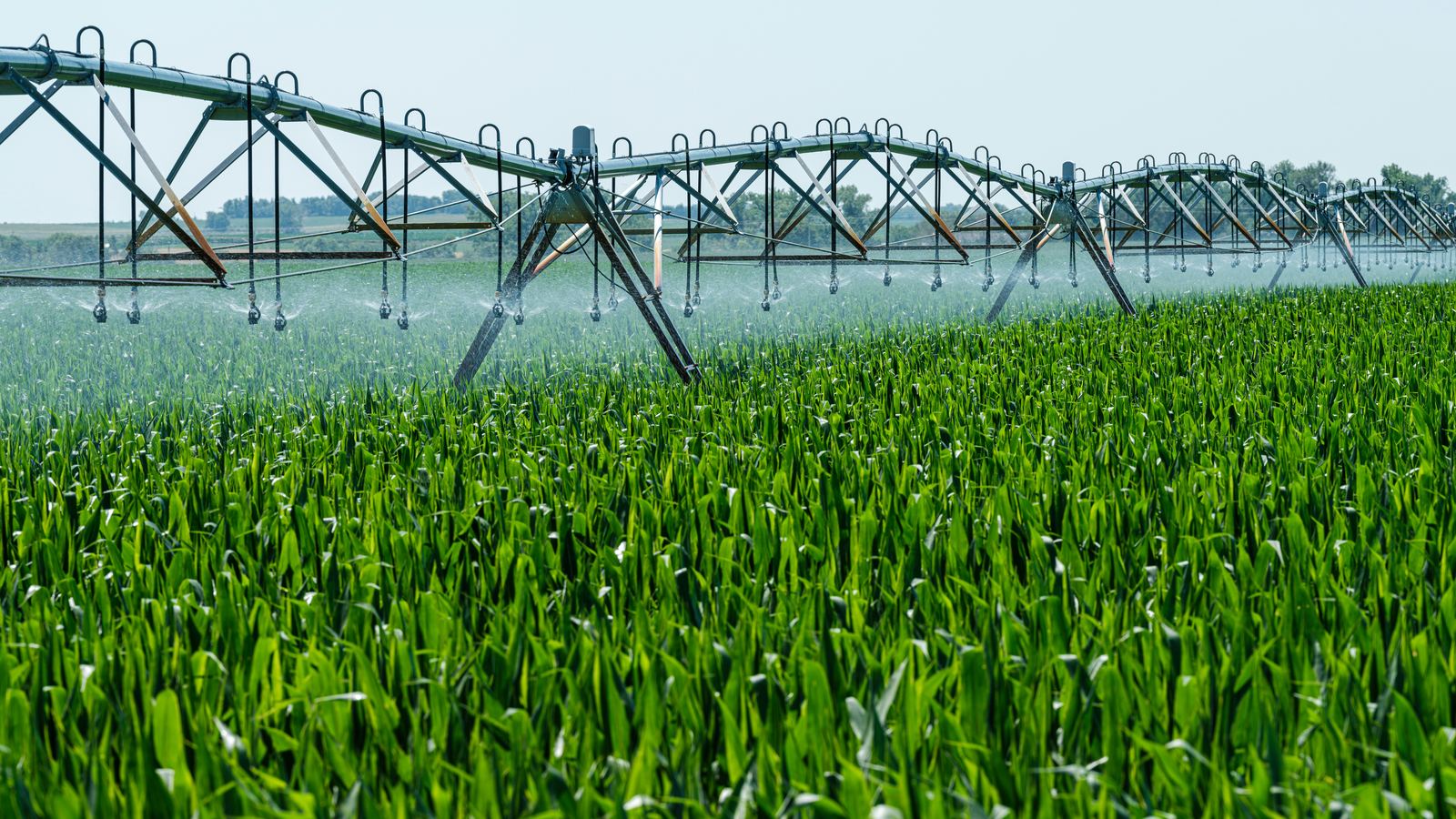 Center pivot irrigation system watering a green field at midday